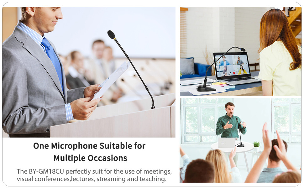 Desktop Gooseneck USB Condenser Microphone