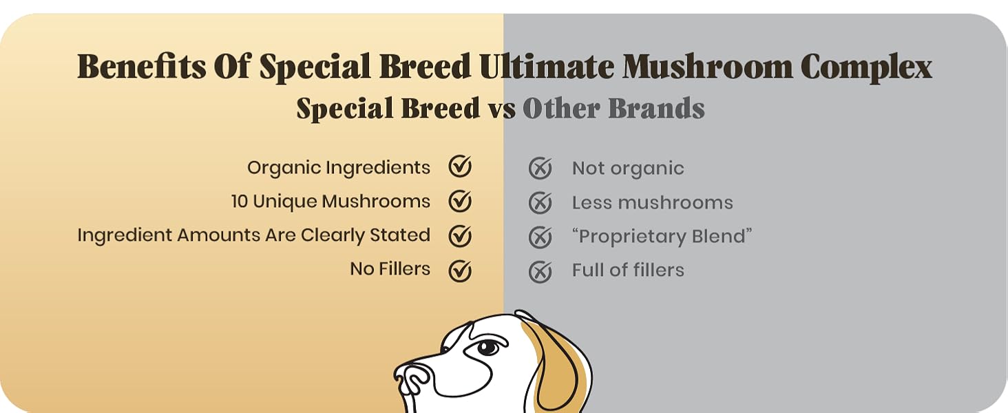 dogs dog immune mushroom supplement turkey tail mushrooms support supplements cats