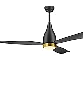 black ceiling fan