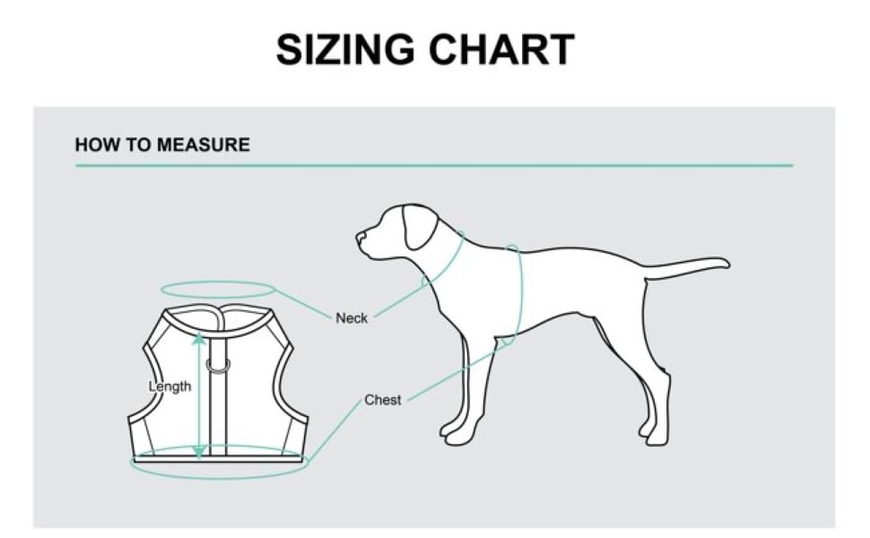 Size Chart Harnesses and Collars How to Measure