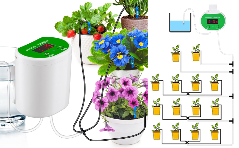 LIODUX Automatic Watering System for Potted Plants, Houseplants Self