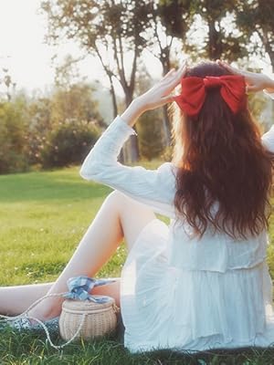 Haarschleifen Clips Groß