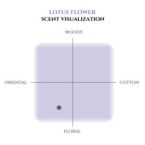 Incense Sticks Lotus Flower scent Visualization