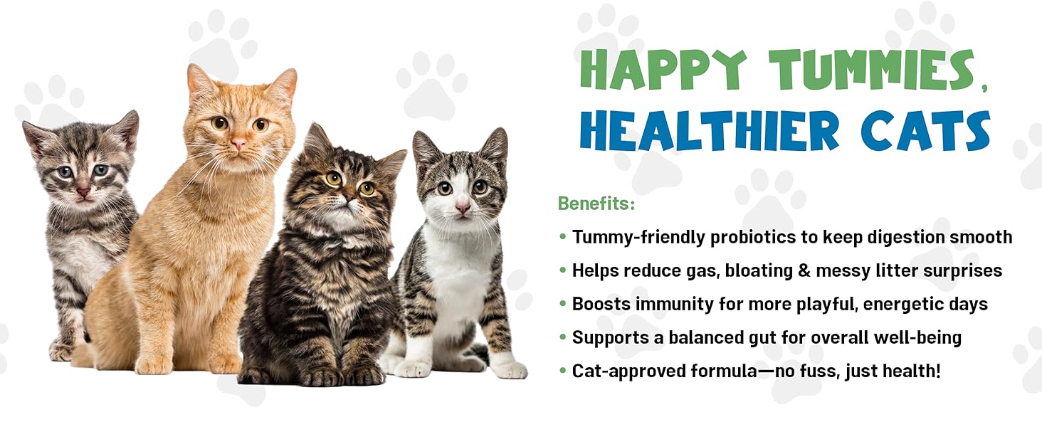 cat probiotics for digestive health support
