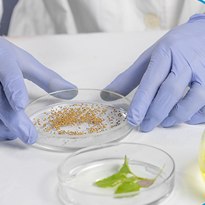 Small manufacture image 1