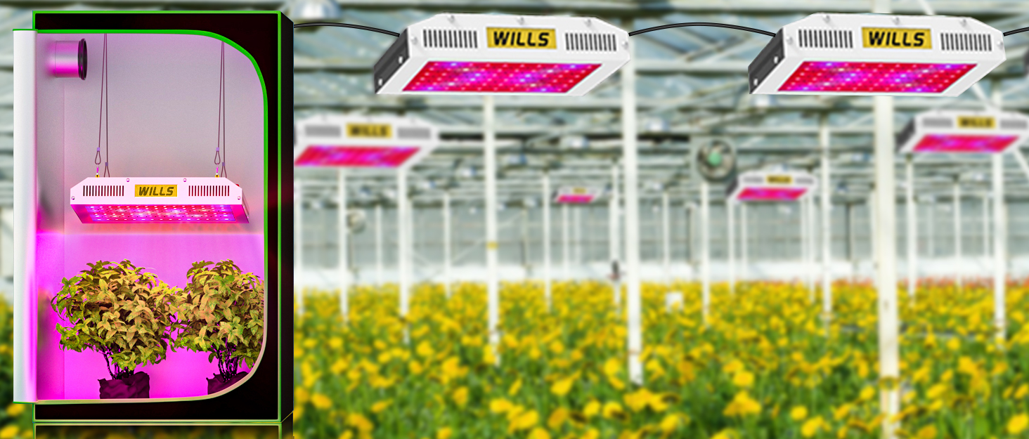 WILLS 1200W LED Grow Light, Full Spectrum Double Switch