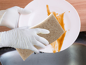 Dish Sponge