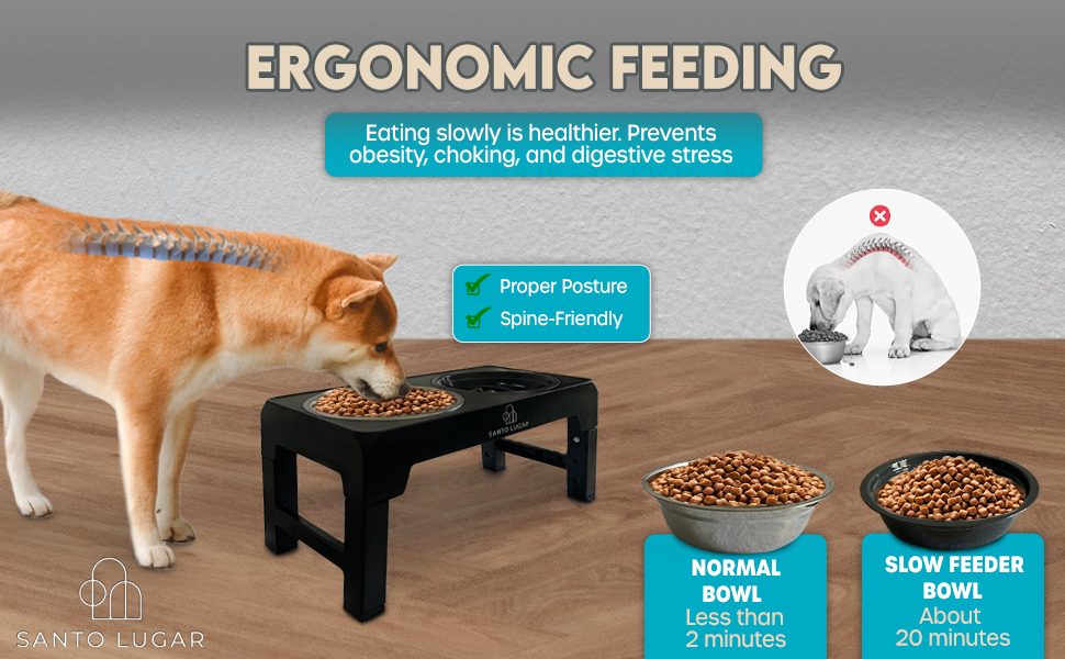 Ergonomic Feeding