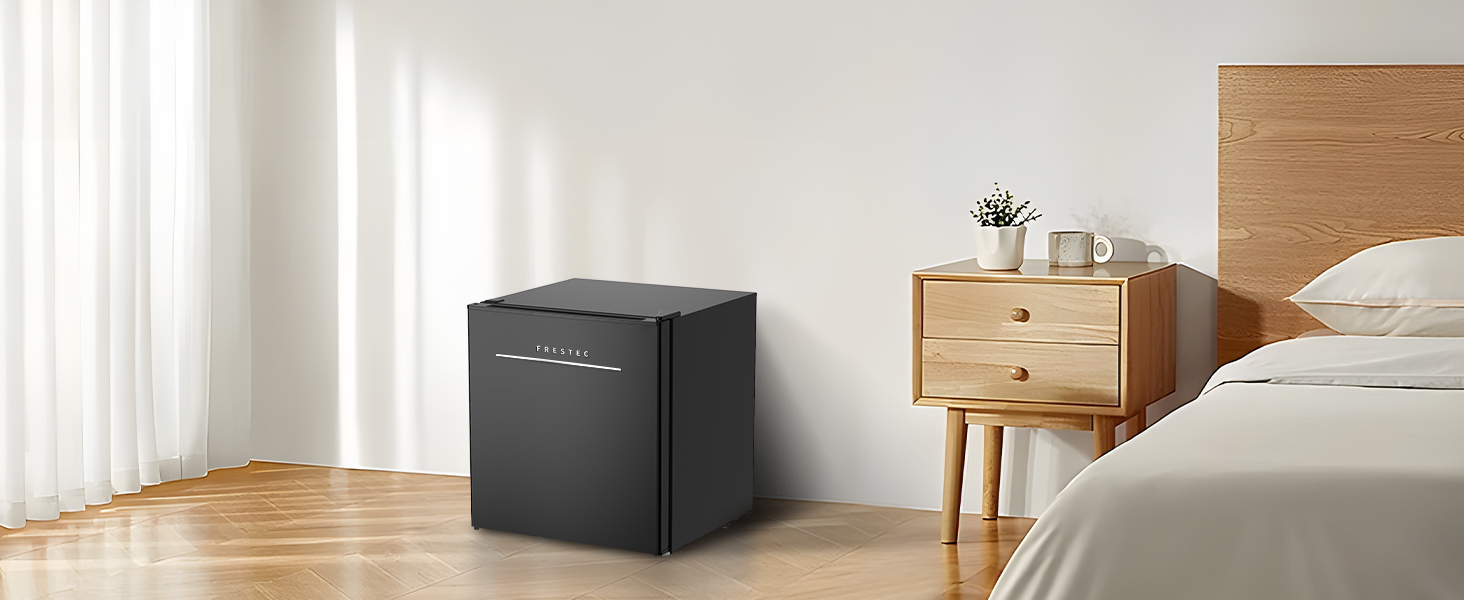 Mini Fridge with Freezer
