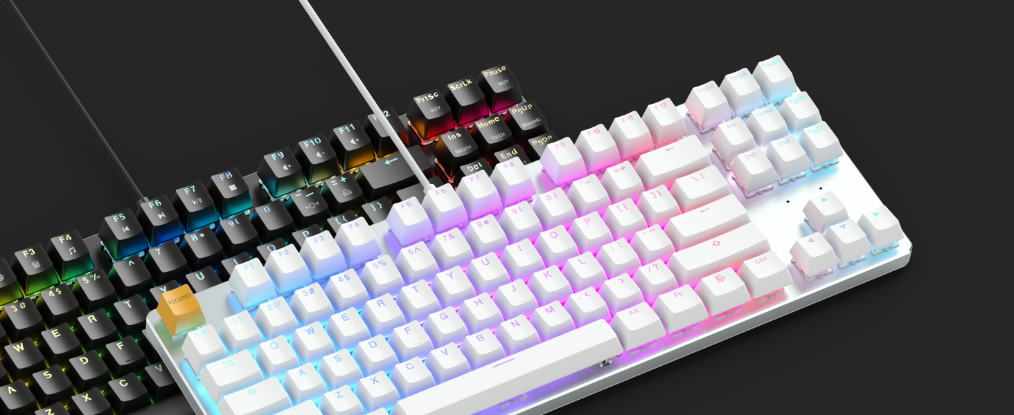 Glorious Gaming GMMK, Mechanisches Gaming-Keyboard, Gateron Brown Schalter, Doubleshot-Kappen