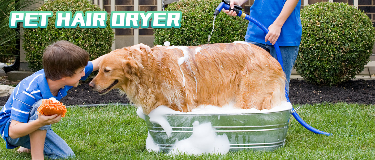 Mxmoonant 2800W LCD Control Pet Hair Dryer, Stepless Speed, Hot and Cold Adjustable, High