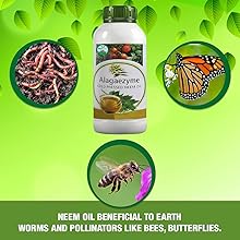 Neem oil is non toxic for butterflies,