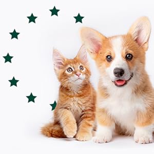 Small manufacture image 14