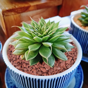 Small manufacture image 3