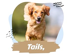 dog nutritional supplement