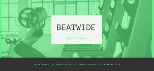 Beatwide Brand Bannrs