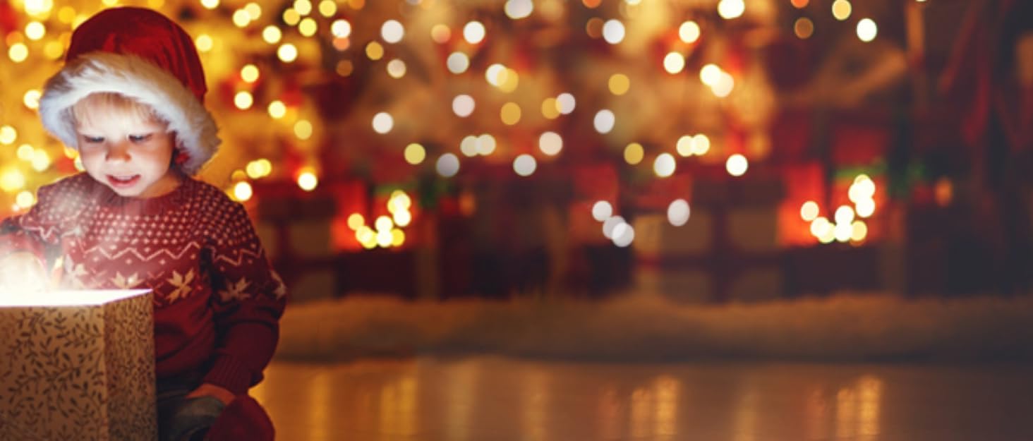 Musical Christmas Tree Lantern Snow Globe with Timers