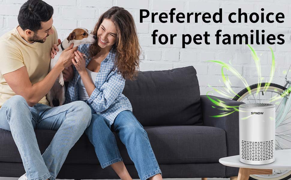 Portable Air Purifier