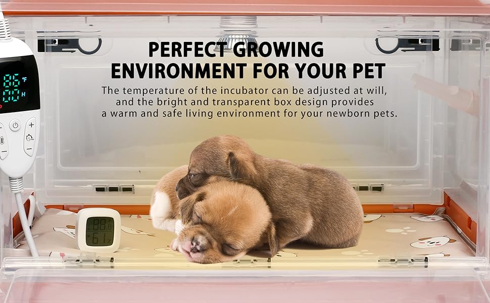 SQUARECIRCLE Puppy Incubator with Nebulization Accessory