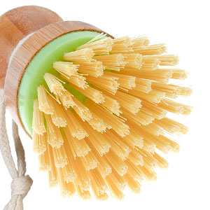 Bristles