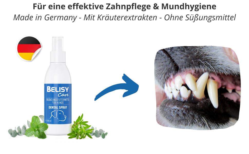 Cuidado dental spray higiene bucal contra sarro paradontosis gingivitis placa mal aliento