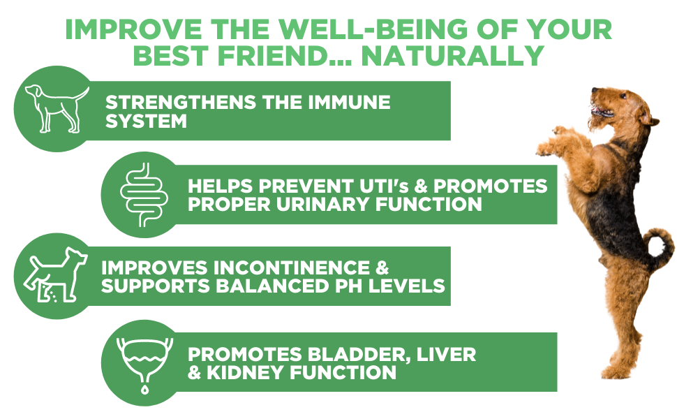 Deley Naturals Dog UTI Prevention 120 Grain Free Soft