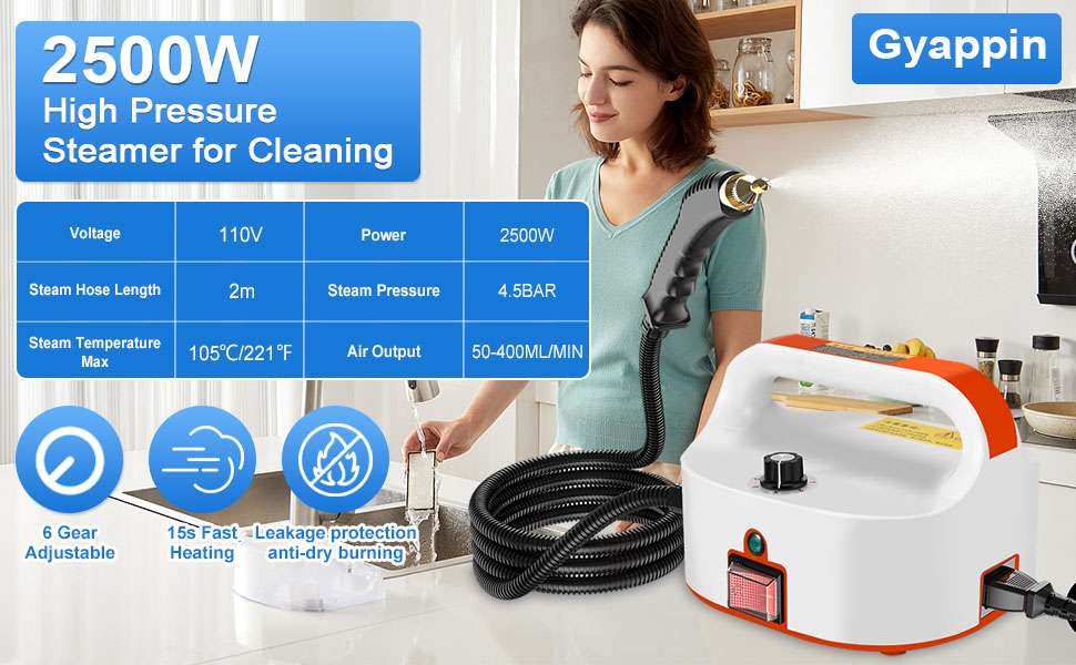 Goyappin 2500W Portable Steam Cleaner, High Temperature