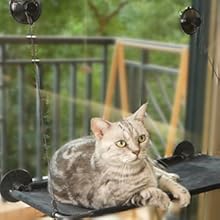 cat window perch