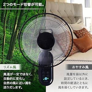 すがまる 壁掛け 扇風機 リモコン付き TEKNOS 扇風機 dcモーター 壁掛け 壁掛け扇風機 30cm テクノス