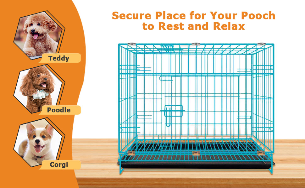 blue Cage