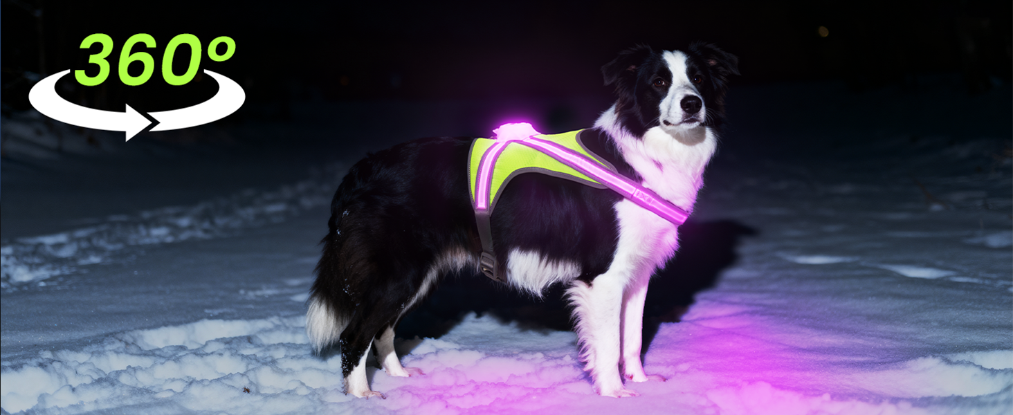 360 reflective dog vest