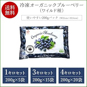 クール全国配送生ブルーベリー4kg クール冷蔵送料込 ブルーベリーガーデン岡山】ブルーベリー 生果（100g×4パック