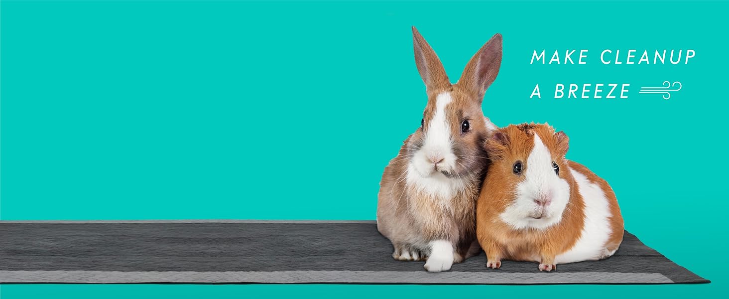 Paw Inspired Disposable Cage Liners