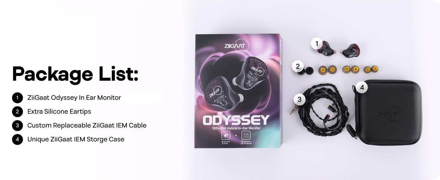 Linsoul ZiiGaat Odyssey In–Ear Monitor, 1DD+3BA Hybrid IEM Earphone, Wired Gaming Earbuds