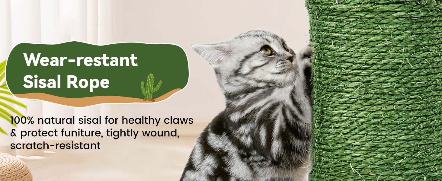 cat scratchers for indoor cats