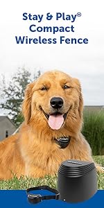 wireless, no dig, fencing, dog, pet, cat, travel, portable, petsafe, diy
