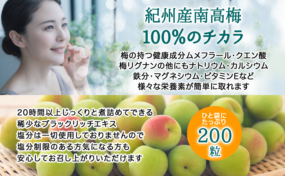 ★satomi companyさま専用です★　梅肉エキス粒　3箱セット 梅肉エキス粒 ( 90g(360粒／1粒250mg) )/ オリヒロ(サプリメント