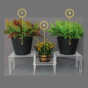 Moso_Product Variations02