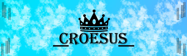 Croesus Presents a Perfect car Backseat Organizer for Your Comfortable, Mess-Free Trip. 