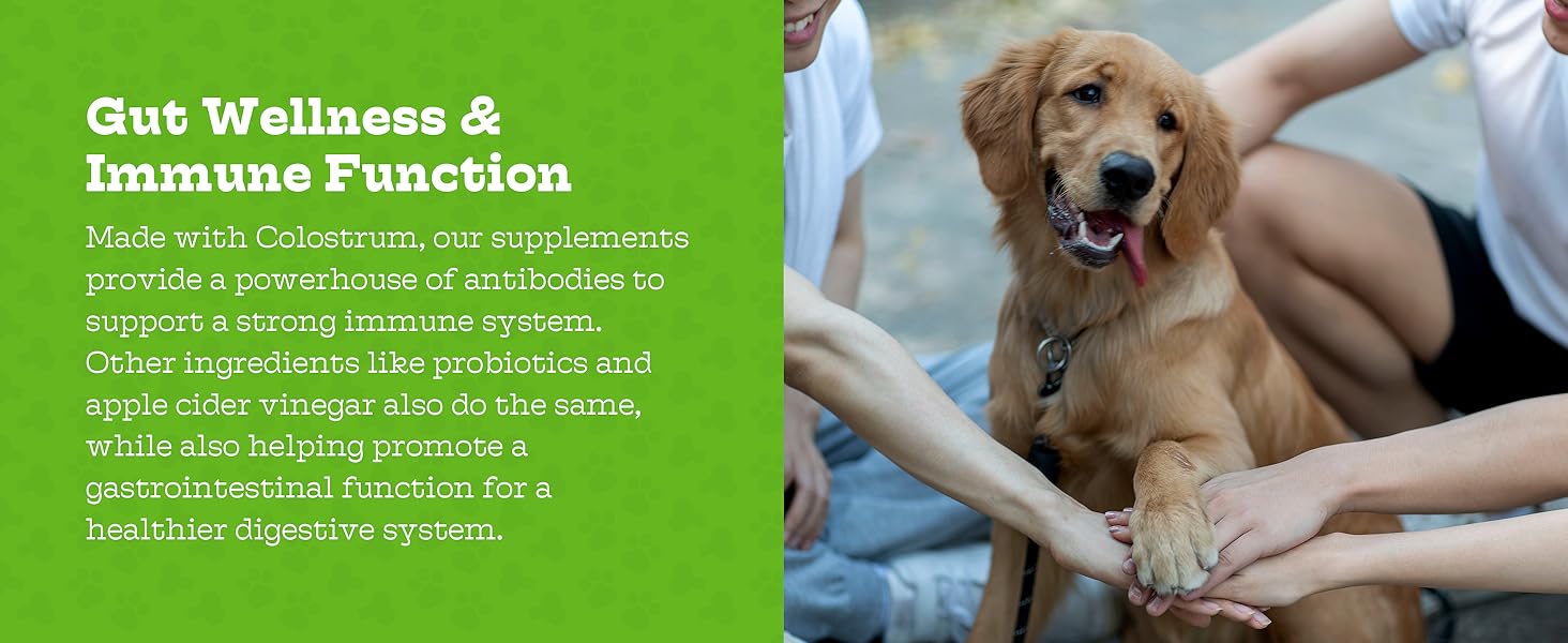 Amazon.com : Moe’s Allergy and Immune Support for Dogs- Supports Anti - Best Allergy And Immune Support For Dogs