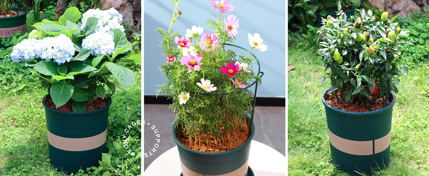Plant Supports for Flower & Vegetable