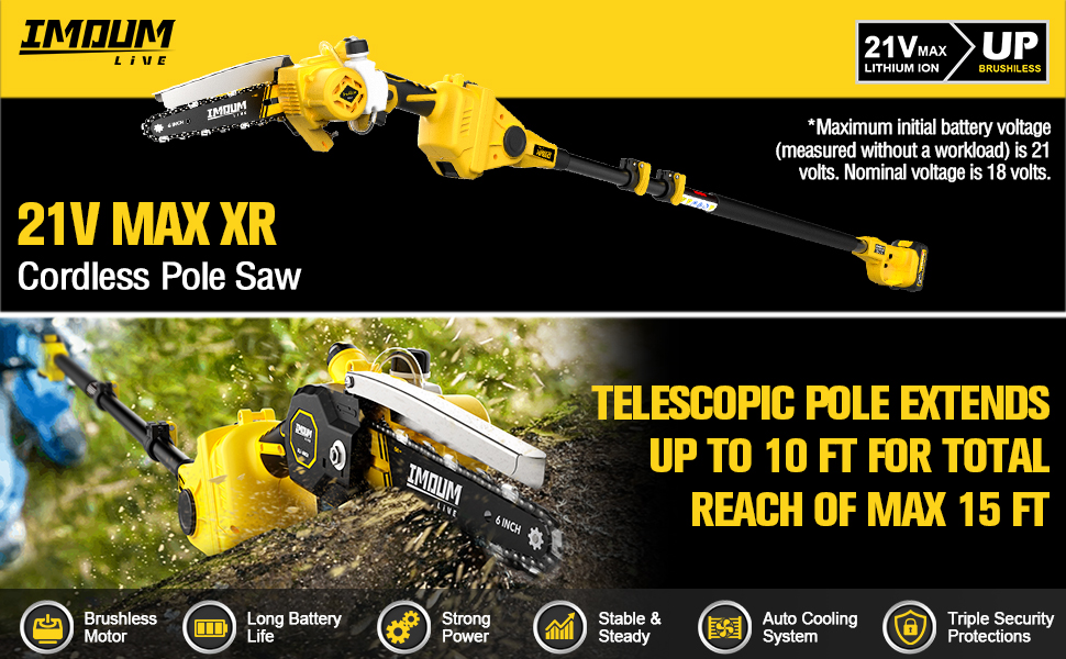 2IN1 Cordless Pole Saw & Mini Chainsaw, IMOUMLIVE