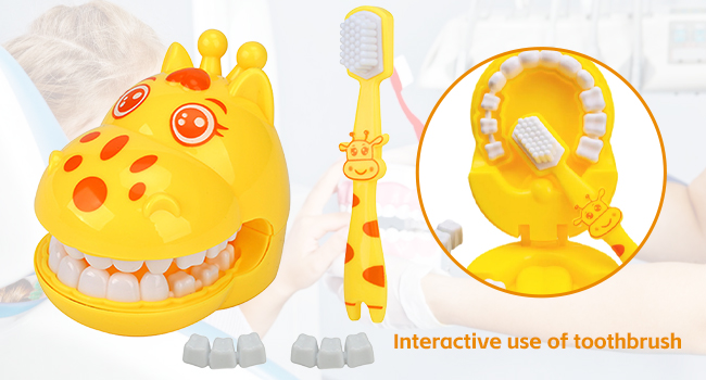 Early Education Dental Toy Set