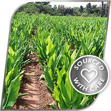 Small manufacture image 1