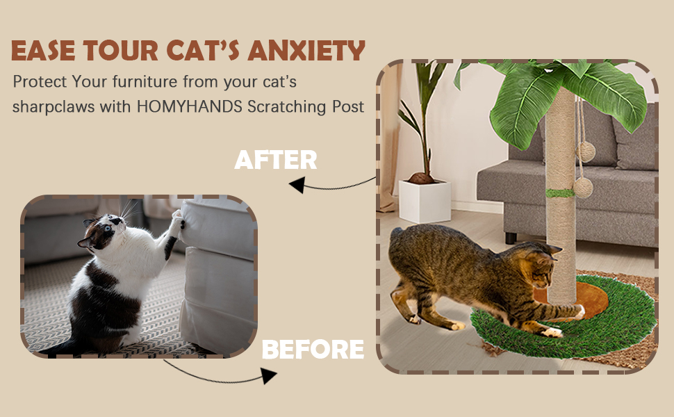 a cat's anxiety : furniture from your cat's home scratching post