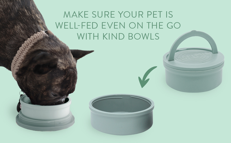 KindTail Bowls, Travel Dog Bowls, Portable Pet Bowls