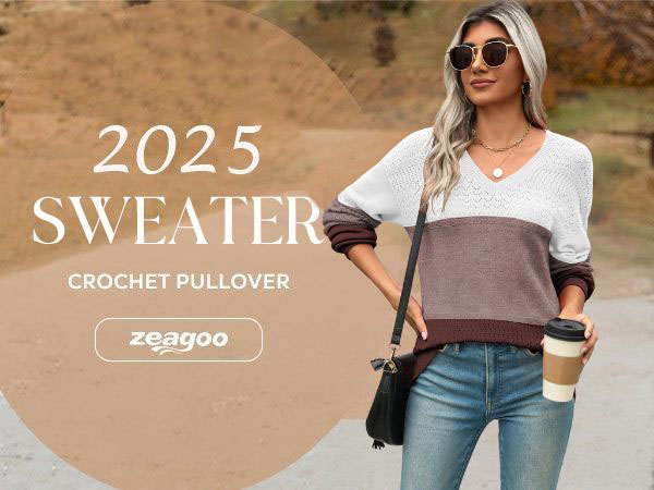 Zeagoo Womens Sweaters Casual Long Sleeve V Neck Lightweight
