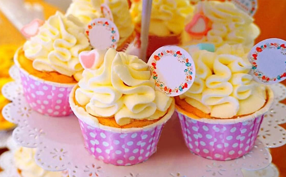 Russian Piping Tips Set