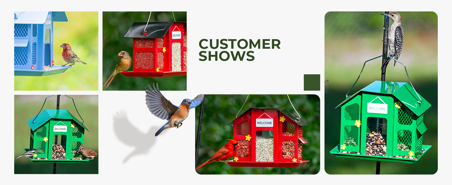 bird feeder