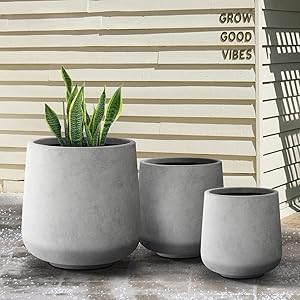 plant pots